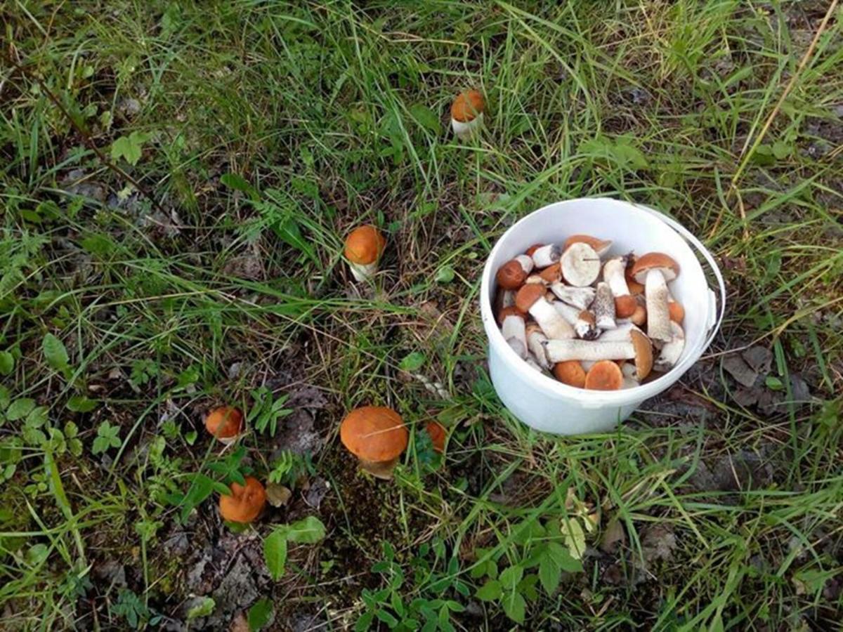 Agroturystyka A&G Dubeninki 外观 照片